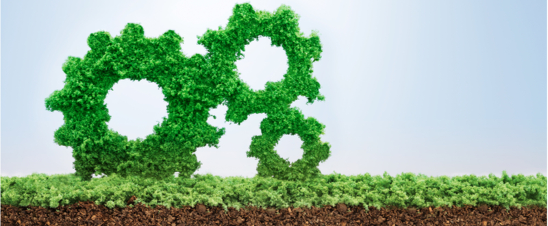 Sustainability in asset and wealth management